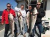 Fishing Charters R I